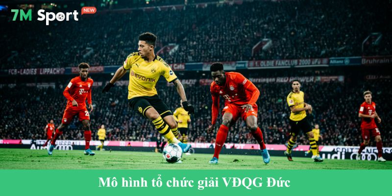 Mô hình tổ chức giải VĐQG Đức