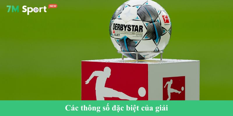 Các thông số đặc biệt của giải