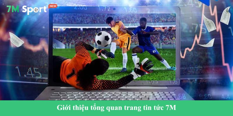 7M Giới thiệu tổng quan trang tin tức 7M