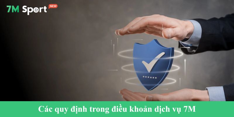 Các quy định trong điều khoản dịch vụ 7M